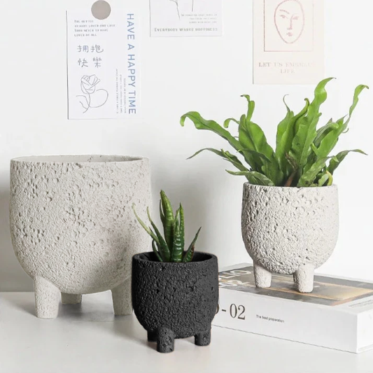 Set of three textured planters with feet, in neutral room with books